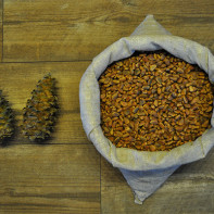 Photo pine nuts 6