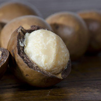 Macadamia nut photo 5