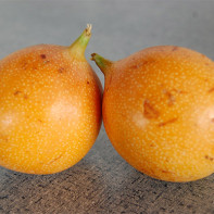 Granadilla Fruit Photo