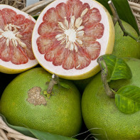 Kuva pomelo hedelmistä 2