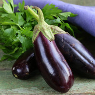 Photo eggplant 4