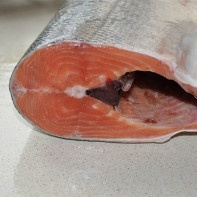 Photo of chum salmon fish 3