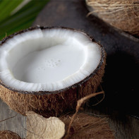 Coconut Photo 2