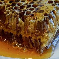 Kuva hunajakenno 2