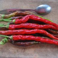 Photo of cayenne pepper 5