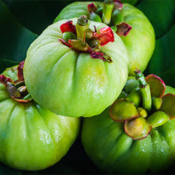 Hình ảnh trái cây Garcinia