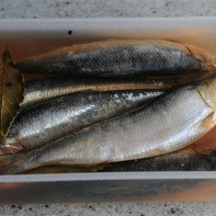 Larawan ng salted herring
