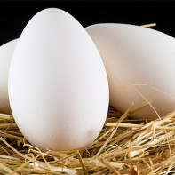 Foto van gans eieren