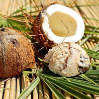 Снимка с кокосови орехи