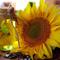 Foto minyak bunga matahari 2
