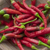 Photo of hot red pepper 4