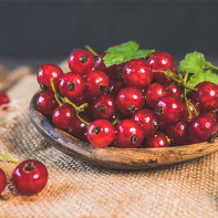 Photo of red currant 5