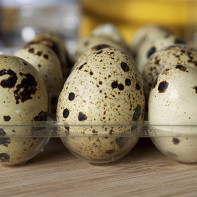 Fotografia ouălor de prepeliță 4