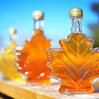 Photo of maple syrup 6