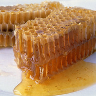 خلية العسل 5