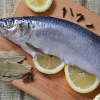 Photo of salted herring 3