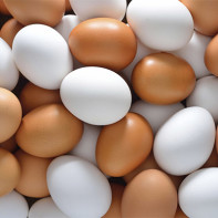 Fotografie z kuřecích vajec