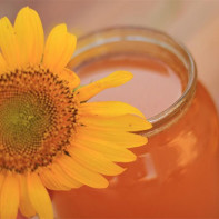Fotografia mierii de floarea soarelui 3