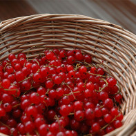 Photo of red currant 3