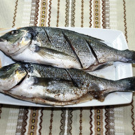 Слика рибе дорадо 2