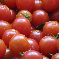 Foto cu tomate cherry