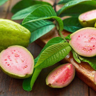 Guava fotografija