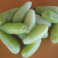 Photo of bilimbi fruit 2