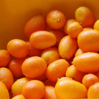 Kumquat photo 3