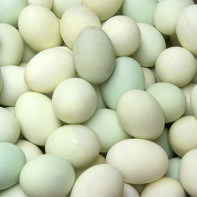 Fotografia ouălor de rață 5