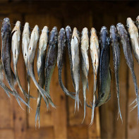 Foto sušených a sušených rýb 4