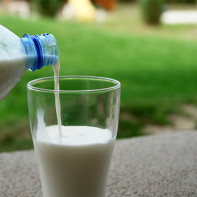צילום חלב עיזים 3