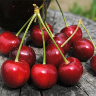 Photo cherries 2