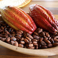 Fotografia z kakaových bôbov 4