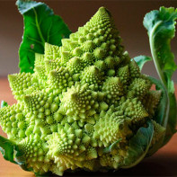 Photo cabbage romanesco 4