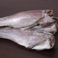 Foto riba oslića