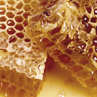 Kuva hunajakenno 3