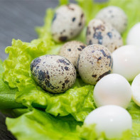 Photo of quail eggs 5