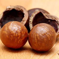 Macadamia ořechová fotografie