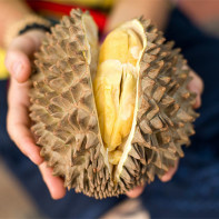 Foto durian 5