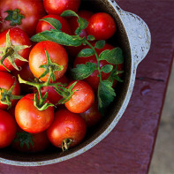 Photo de tomates 5