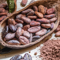 Fotografia z kakaových bôbov