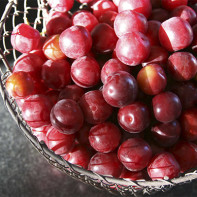 Vyšnių slyvų nuotrauka 3