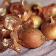 Photo of onion peel 2