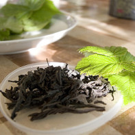Photo of tea from currant leaves 5