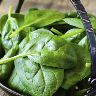 Photo of spinach 4