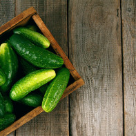 Photo of cucumbers 2
