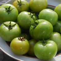 Fotografie ze zelených rajčat