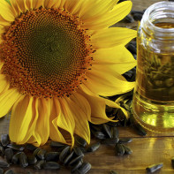 Foto minyak bunga matahari 4