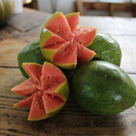 Guava fotka 3