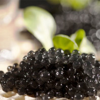 Fotografia caviarului negru